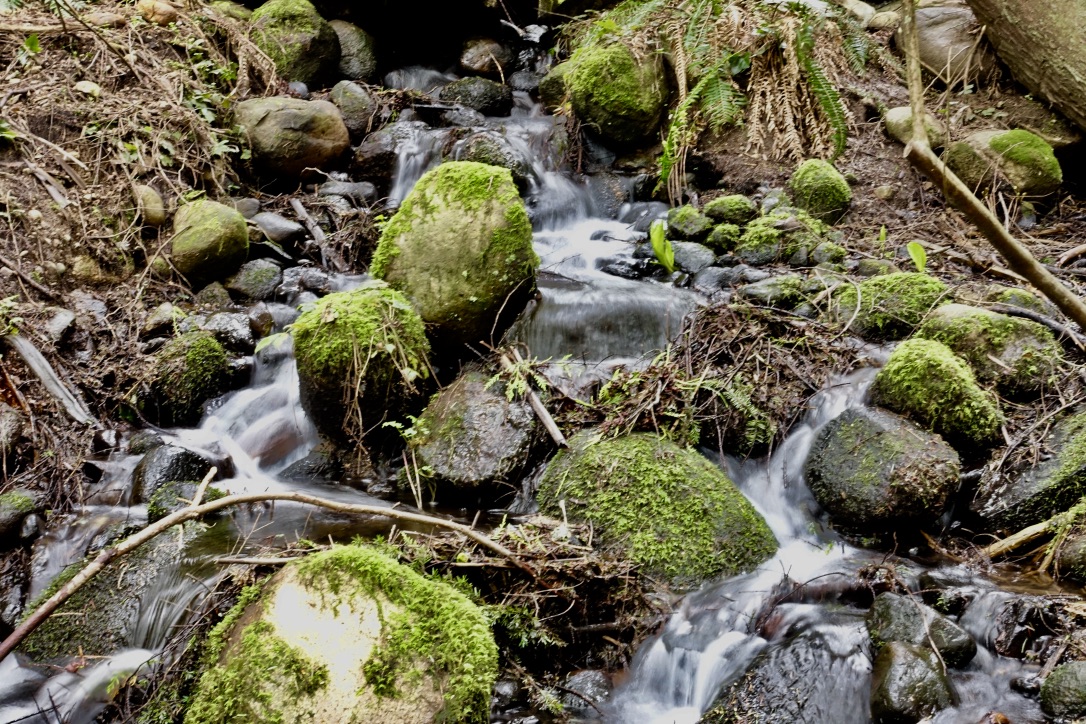 A full-size image example