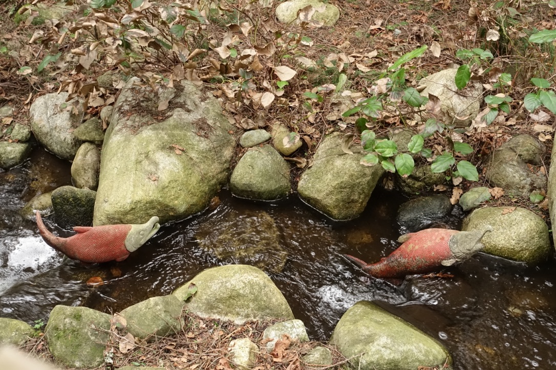 A full-size image example