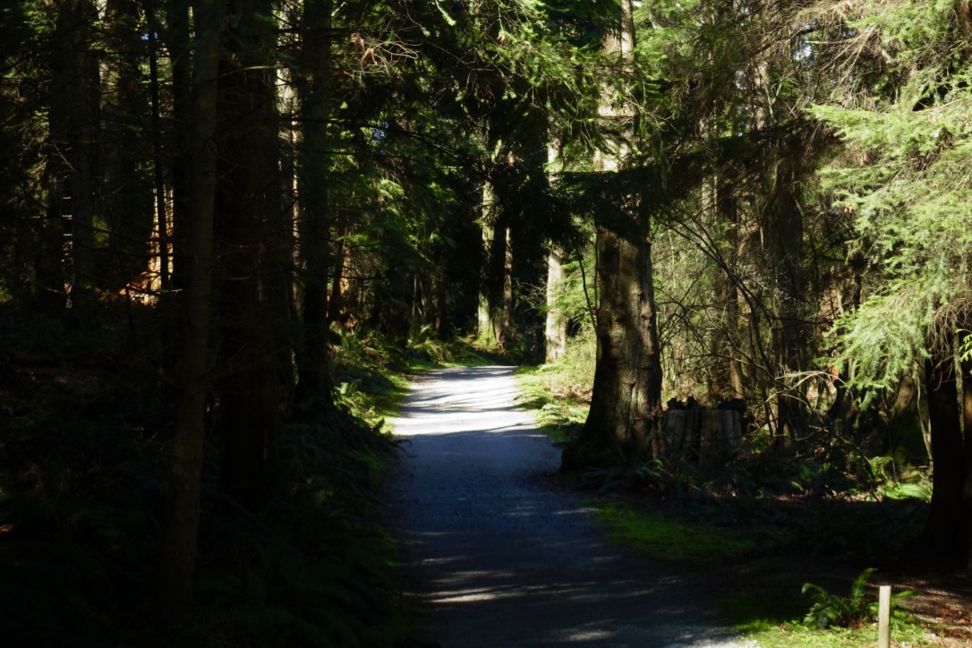 A full-size image example