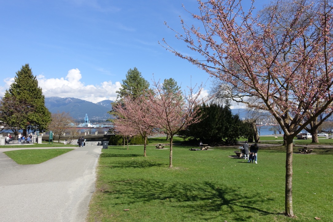 A full-size image example